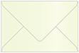 Mint Booklet Envelope 6 x 9 - 25/Pk