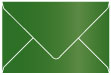Botanic Booklet Envelope 6 x 9 - 25/Pk