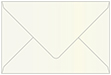 Citrine Booklet Envelope 6 x 9 - 25/Pk