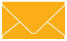 Bumble Bee Business Card Envelope 2 1/8 x 3 5/8 - 25/Pk