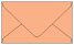 Ginger Business Card Envelope 2 1/8 x 3 5/8 - 25/Pk