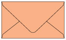 Ginger Business Card Envelope 2 1/8 x 3 5/8 - 25/Pk
