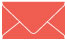 Coral Business Card Envelope 2 1/8 x 3 5/8 - 25/Pk