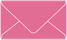 Peony Business Card Envelope 2 1/8 x 3 5/8 - 25/Pk