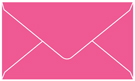 Raspberry Business Card Envelope 2 1/8 x 3 5/8 - 25/Pk