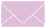 Purple Lace Business Card Envelope 2 1/8 x 3 5/8 - 25/Pk