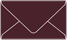 Eggplant Business Card Envelope 2 1/8 x 3 5/8 - 25/Pk