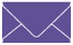 Amethyst Business Card Envelope 2 1/8 x 3 5/8 - 25/Pk