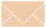 Latte Business Card Envelope 2 1/8 x 3 5/8 - 25/Pk