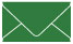 Verde Business Card Envelope 2 1/8 x 3 5/8 - 25/Pk