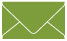 Iguana Business Card Envelope 2 1/8 x 3 5/8 - 25/Pk