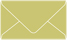 Tropical Green Business Card Envelope 2 1/8 x 3 5/8 - 25/Pk