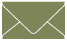 Cactus Business Card Envelope 2 1/8 x 3 5/8 - 25/Pk
