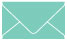 South Beach Business Card Envelope 2 1/8 x 3 5/8 - 25/Pk