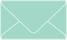 Tiffany Blue Business Card Envelope 2 1/8 x 3 5/8 - 25/Pk