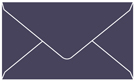 Navy Business Card Envelope 2 1/8 x 3 5/8 - 25/Pk