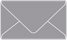 Pewter Business Card Envelope 2 1/8 x 3 5/8 - 25/Pk