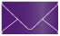 Purple Business Card Envelope 2 1/8 x 3 5/8 - 25/Pk