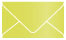 Lime Business Card Envelope 2 1/8 x 3 5/8 - 25/Pk