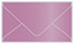 Punch Business Card Envelope 2 1/8 x 3 5/8 - 25/Pk