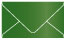 Botanic Business Card Envelope 2 1/8 x 3 5/8 - 25/Pk