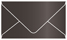 Onyx Business Card Envelope 2 1/8 x 3 5/8 - 25/Pk