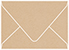 Desert Storm Gift Card Envelope 2 5/8 x 3 5/8 - 25/Pk