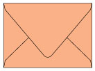 Ginger Gift Card Envelope 2 5/8 x 3 5/8 - 25/Pk