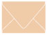 Latte Gift Card Envelope 2 5/8 x 3 5/8 - 25/Pk