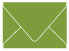 Iguana Gift Card Envelope 2 5/8 x 3 5/8 - 25/Pk