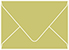 Tropical Green Gift Card Envelope 2 5/8 x 3 5/8 - 25/Pk