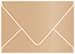Cappuccino Gift Card Envelope 2 5/8 x 3 5/8 - 25/Pk