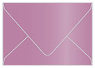 Punch Gift Card Envelope 2 5/8 x 3 5/8 - 25/Pk