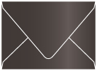 Onyx Gift Card Envelope 2 5/8 x 3 5/8 - 25/Pk