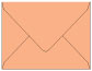 Ginger A2 Envelope 4 3/8 x 5 3/4 - 25/Pk