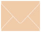 Latte A2 Envelope 4 3/8 x 5 3/4 - 25/Pk
