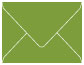 Iguana A2 Envelope 4 3/8 x 5 3/4 - 25/Pk