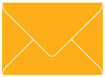 Bumble Bee A6 Envelope 4 3/4 x 6 1/2 - 25/Pk
