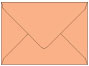 Ginger A6 Envelope 4 3/4 x 6 1/2 - 25/Pk