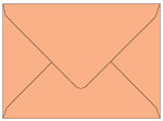 Ginger A6 Envelope 4 3/4 x 6 1/2 - 25/Pk