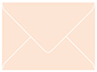 Rosa A6 Envelope 4 3/4 x 6 1/2 - 25/Pk