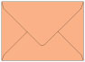 Ginger A7 Envelope 5 1/4 x 7 1/4 - 25/Pk