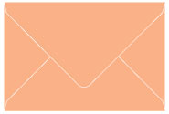 Ginger A8 Envelope 5 1/2 x 8 1/8 - 25/Pk