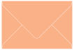 Ginger A9 Envelope 5 3/4 x 8 3/4 - 25/Pk