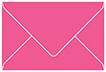 Raspberry A9 Envelope 5 3/4 x 8 3/4 - 25/Pk