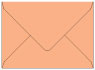 Ginger Outer #7 Envelope 5 1/2 x 7 1/2 - 25/Pk