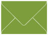 Iguana Outer #7 Envelope 5 1/2 x 7 1/2 - 25/Pk