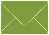 Iguana Outer #7 Envelope 5 1/2 x 7 1/2 - 25/Pk