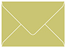 Tropical Green Outer #7 Envelope 5 1/2 x 7 1/2 - 25/Pk