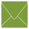 Iguana Square Envelope 4 1/4 x 4 1/4 - 25/Pk